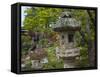 Lantern in Japanese Tea Garden, San Francisco, California, USA-Anna Miller-Framed Stretched Canvas