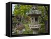 Lantern in Japanese Tea Garden, San Francisco, California, USA-Anna Miller-Framed Stretched Canvas