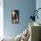 Lantern Light-Tony Koukos-Mounted Giclee Print displayed on a wall