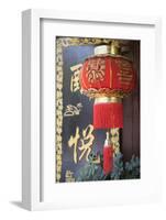 Lantern, Lijiang (UNESCO World Heritage Site), Yunnan, China-Ian Trower-Framed Photographic Print