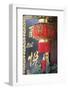 Lantern, Lijiang (UNESCO World Heritage Site), Yunnan, China-Ian Trower-Framed Photographic Print