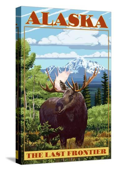 Stretched Canvas Print, , large