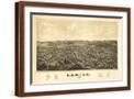 Brown Frame