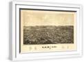 White Frame