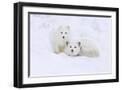 Black Frame