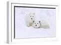 White Frame