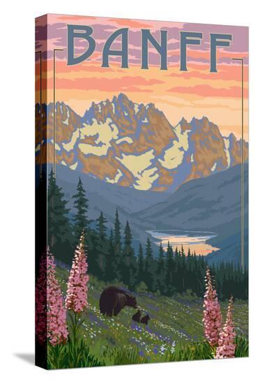 Stretched Canvas Print, , large