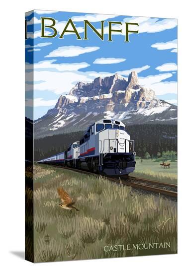 Stretched Canvas Print, , large