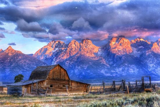 Photographic Print, , large