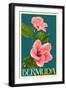 Black Frame