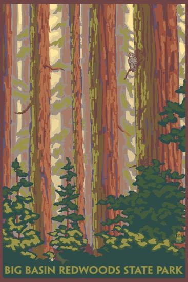 Art Print, , large