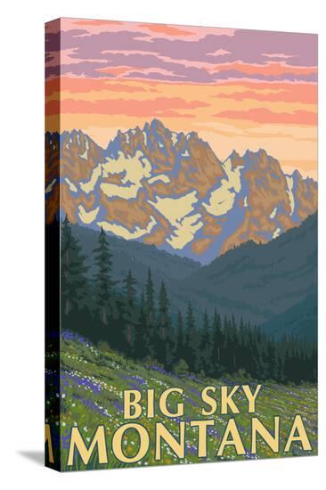 Stretched Canvas Print, , large