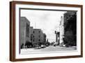 Brown Frame