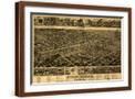 Brown Frame