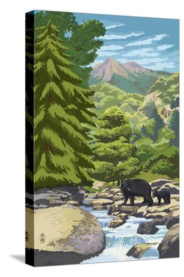Stretched Canvas Print, , large