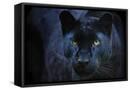 Canvas Black