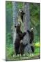 Wood Mount