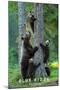 Wood Mount