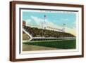 Brown Frame