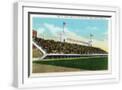 White Frame