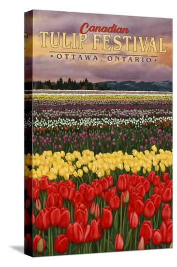 Stretched Canvas Print, , large