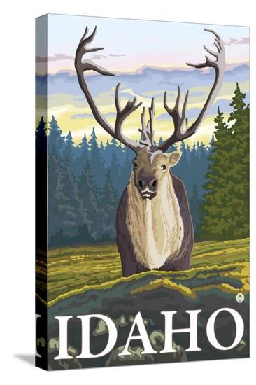 Stretched Canvas Print, , large