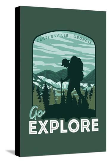 Stretched Canvas Print, , large