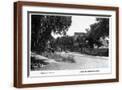 Brown Frame