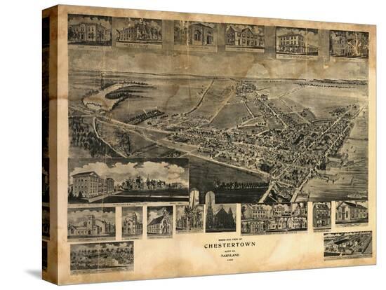 Stretched Canvas Print, , large