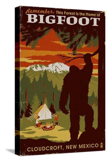 Stretched Canvas Print, , large