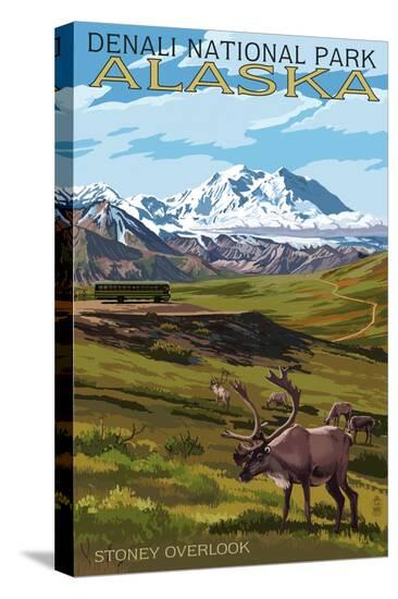 Stretched Canvas Print, , large