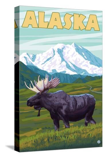 Stretched Canvas Print, , large
