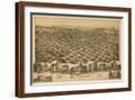 Brown Frame
