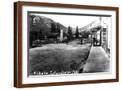 Brown Frame