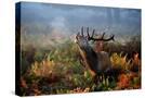 Stretched Canvas