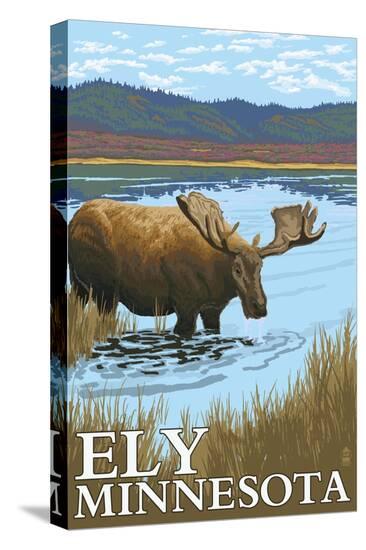 Stretched Canvas Print, , large