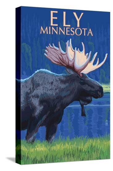 Stretched Canvas Print, , large
