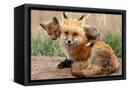Canvas Black