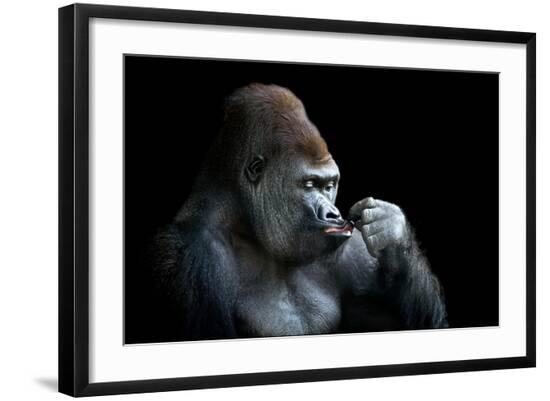Photographic Print, , large