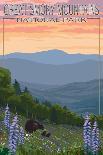 Great Smoky Mountains National Park - Bear and Spring Flowers-Lantern Press-Art Print
