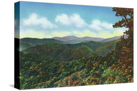Stretched Canvas Print, , large