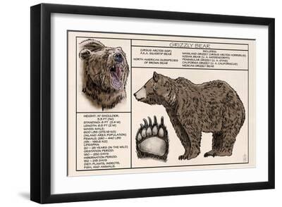 Grizzly Bear - Technical - Lantern Press Artwork' Poster - Lantern