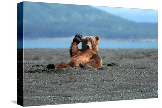 Stretched Canvas Print, , large