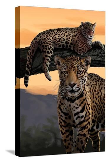 Stretched Canvas Print, , large