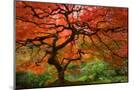 Wood Mount