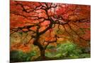 Wood Mount