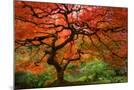 Wood Mount