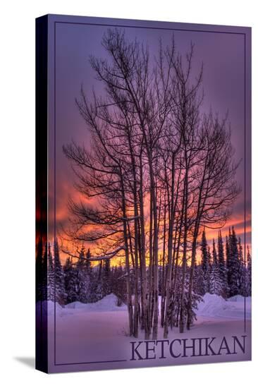 Stretched Canvas Print, , large