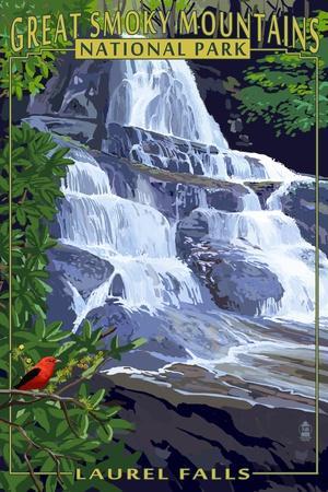 Laurel falls great smoky mountains national park 2025