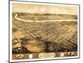 Wood Mount